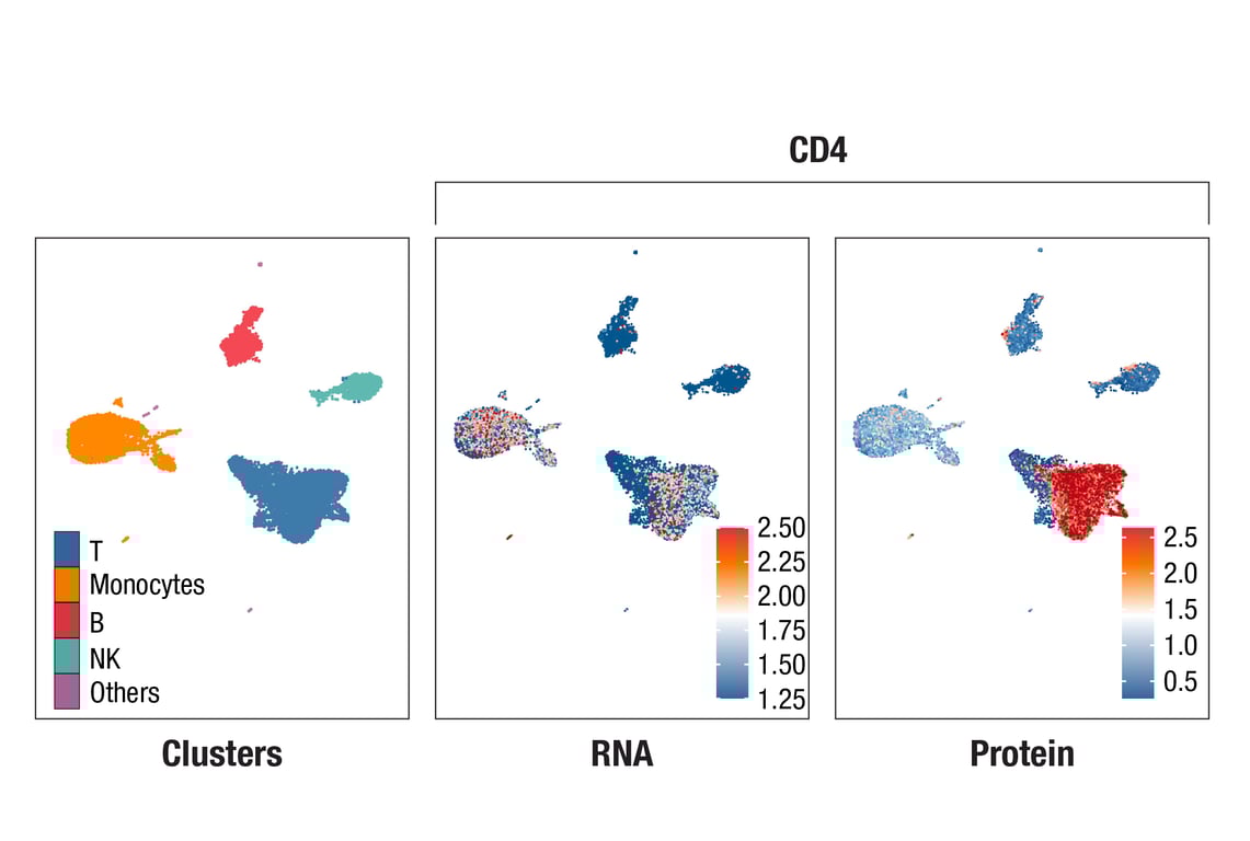 SCA Image 1: CD4 (RPA-T4) Mouse mAb (InTraSeq™ 3' Conjugate 3029)