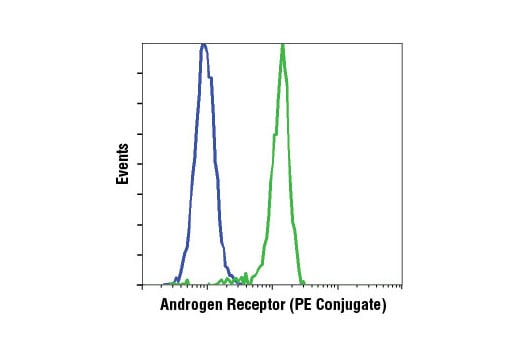 Flow Cytometry Image 1: Androgen Receptor (D6F11) XP<sup>®</sup> Rabbit mAb (PE Conjugate)