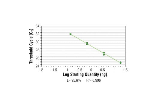 Chromatin Immunoprecipitation Image 2: SimpleChIP<sup>®</sup> Human ID1 Promoter Primers