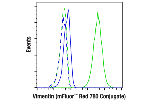 Flow cytometric analysis of fixed/permeabilized MCF7 (blue, negative) and HeLa (green, positive) cells using Vimentin (D21H3) XP® Rabbit mAb (mFluor™ Red 780 Conjugate) (solid lines) or concentration-matched Rabbit (DA1E) mAb IgG XP® Isotype Control (mFluor™ Red 780 Conjugate) #79088 (dashed lines).