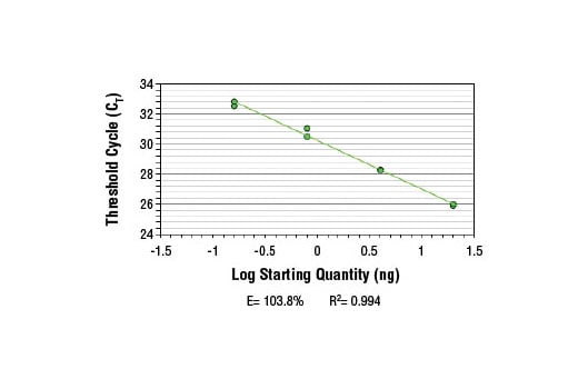 Chromatin Immunoprecipitation Image 2: SimpleChIP<sup>®</sup> Human c-Fos Exon 3 Primers