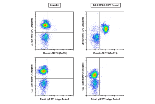 Flow Cytometry Image 1: Phospho-SLP-76 (Ser376) (E3G9U) XP<sup>®</sup> Rabbit mAb
