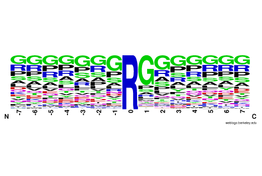 PTMScan Image 1: PTMScan<sup>®</sup> HS Mono-Methyl Arginine Motif (mme-RG) Kit