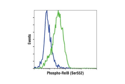 Flow Cytometry Image 1: Phospho-RelB (Ser552) (D41B9) XP<sup>®</sup> Rabbit mAb (BSA and Azide Free)