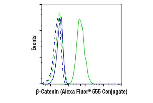 Flow Cytometry Image 1: β-Catenin (D10A8) XP<sup>®</sup> Rabbit mAb (Alexa Fluor<sup>®</sup> 555 Conjugate)