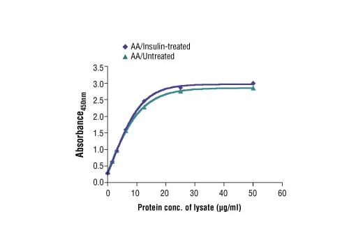 ELISA Image 2: PathScan<sup>®</sup> Total 4E-BP1 Sandwich ELISA Kit