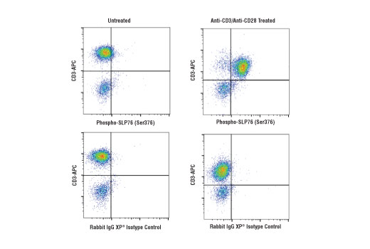 Flow Cytometry Image 1: Phospho-SLP-76 (Ser376) (D7S1K) Rabbit mAb (BSA and Azide Free)