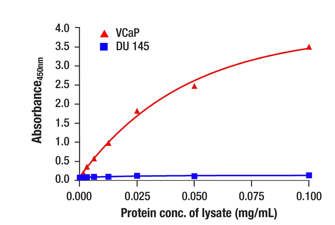 ELISA Image 1: Androgen Receptor (Carboxy-terminal Antigen) Matched Antibody Pair
