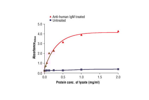 ELISA Image 2: PathScan<sup>®</sup> Phospho-Syk (Tyr525/526) Sandwich ELISA Kit