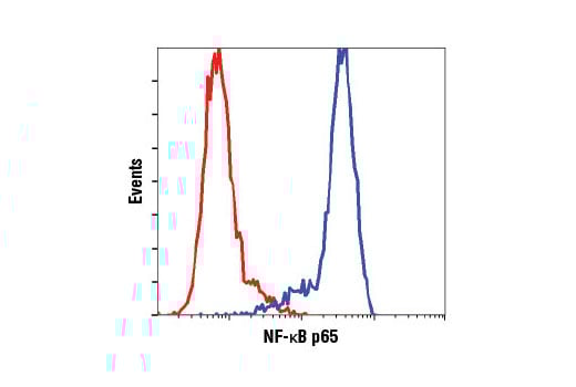 undefined Image 12: PhosphoPlus<sup>®</sup> NF-κB p65/RelA (Ser536) Antibody Duet