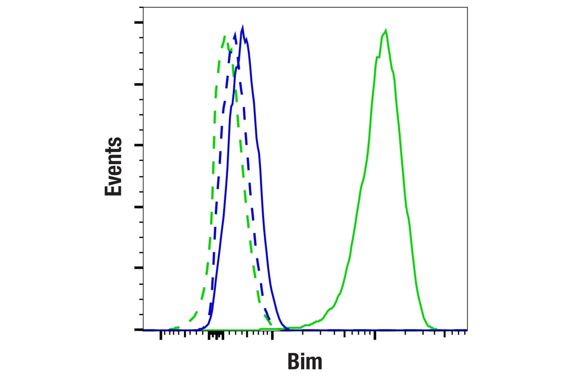undefined Image 7: Pro-Apoptosis Bcl-2 Family Antibody Sampler Kit II