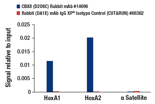 CUT & RUN Image 3: CBX8 (D2O8C) Rabbit mAb