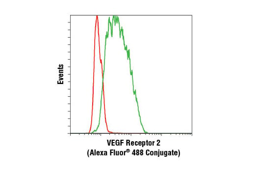 Flow Cytometry Image 1: VEGF Receptor 2 (D5B1) Rabbit mAb (Alexa Fluor<sup>®</sup> 488 Conjugate)