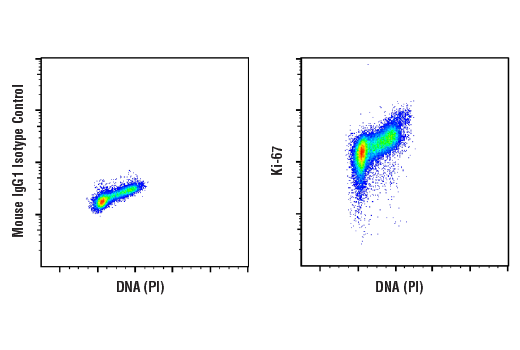 Flow Cytometry Image 1: Ki-67 (8D5) Mouse mAb