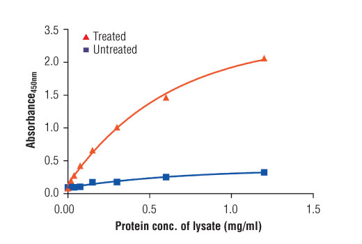 ELISA Image 2: PathScan<sup>®</sup> Phospho-Chk1 (Ser345) Sandwich ELISA Kit