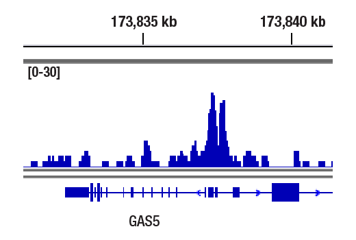 undefined Image 12: Microglia Cross Module Antibody Sampler Kit