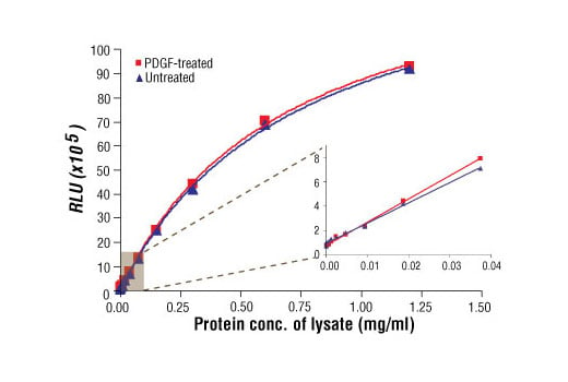 ELISA Image 1: PathScan<sup>®</sup> Total ALK Chemiluminescent Sandwich ELISA Kit