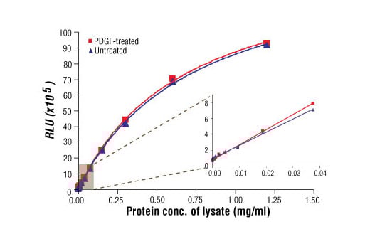 ELISA Image 1: PathScan® Total ALK Chemiluminescent Sandwich ELISA Kit