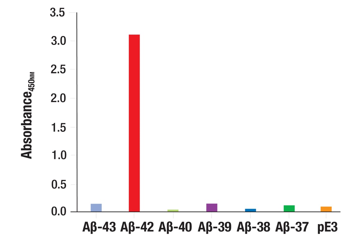 ELISA Image 5: β-Amyloid (D3D2N) Mouse mAb (BSA and Azide Free)