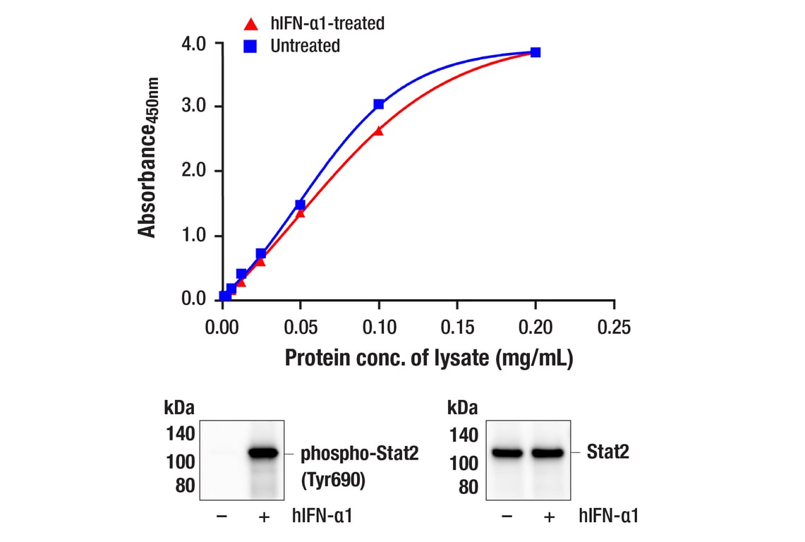 ELISA Image 1: PathScan<sup>®</sup> RP Total Stat2 Sandwich ELISA Kit