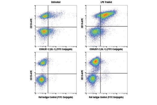 Flow Cytometry Image 1: CD86/B7-2 (GL-1) Rat mAb (FITC Conjugate)