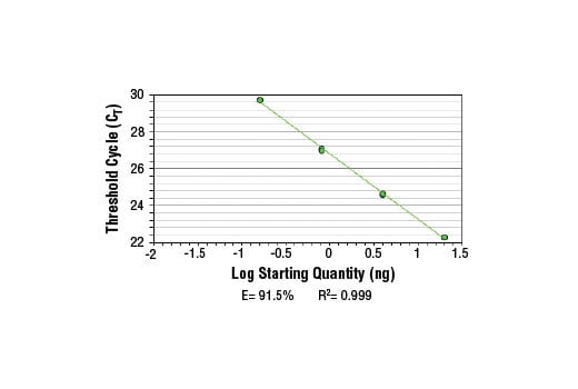 Chromatin Immunoprecipitation Image 2: SimpleChIP<sup>®</sup> Mouse MYT-1 Promoter Primers