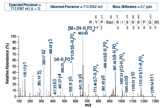 undefined Image 2: PTMScan<sup>®</sup> Control Peptides Phospho-Akt (RXXS*/T*)