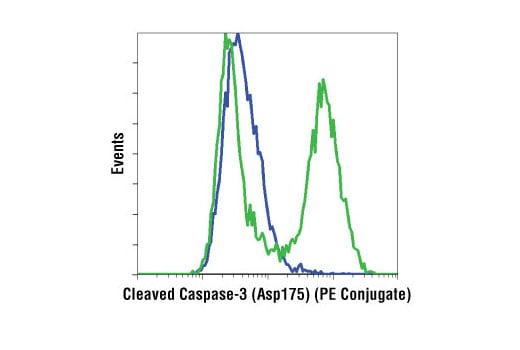 Flow Cytometry Image 1: Cleaved Caspase-3 (Asp175) (5A1E) Rabbit mAb (PE Conjugate)