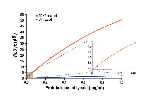 ELISA Image 1: PathScan<sup>®</sup> Phospho-TrkB (panTyr) Chemiluminescent Sandwich ELISA Kit