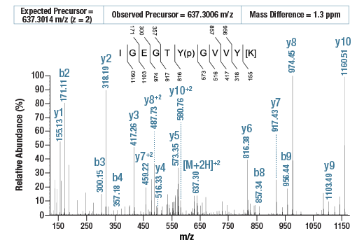 PTMScan® Control Peptides Phospho-Tyrosine: Image 1