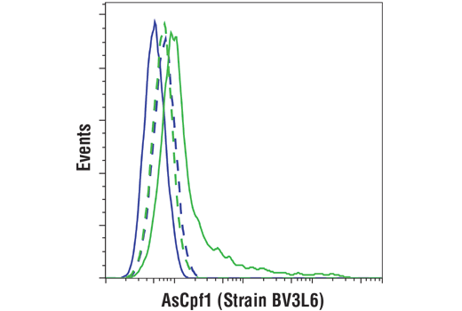 undefined Image 7: Cas9 and Associated Proteins Antibody Sampler Kit