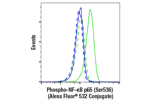 Flow Cytometry Image 1: Phospho-NF-κB p65 (Ser536) (93H1) Rabbit mAb (Alexa Fluor<sup>®</sup> 532 Conjugate)