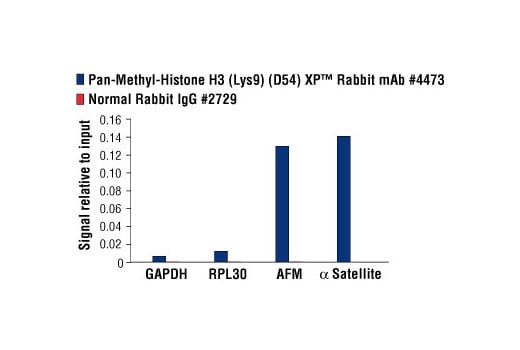 Chromatin Immunoprecipitation Image 1: Pan-Methyl-Histone H3 (Lys9) (D54) XP<sup>®</sup> Rabbit mAb