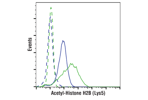 Flow Cytometry Image 1: Acetyl-Histone H2B (Lys5) (D5H1S) XP<sup>®</sup> Rabbit mAb (PE Conjugate)