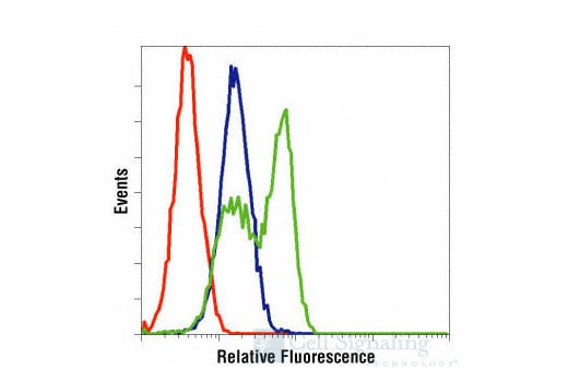 undefined Image 33: Apoptosis Antibody Sampler Kit II