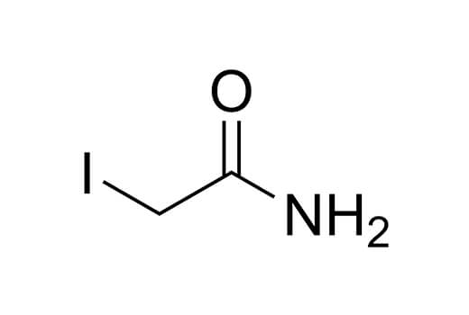 undefined Image 1: Iodoacetamide, PTMScan<sup>®</sup> Qualified