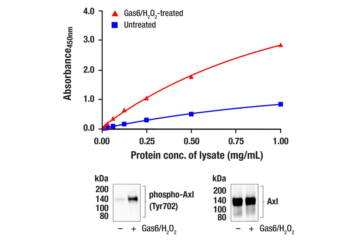 ELISA Image 1: PathScan<sup>®</sup> Phospho-Axl (Tyr702) Sandwich ELISA Kit