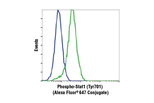 Flow Cytometry Image 1: Phospho-Stat1 (Tyr701) (58D6) Rabbit mAb (Alexa Fluor<sup>®</sup> 647 Conjugate)