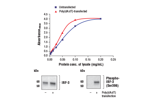 ELISA Image 1: FastScan<sup>™</sup> Total IRF-3 ELISA Kit