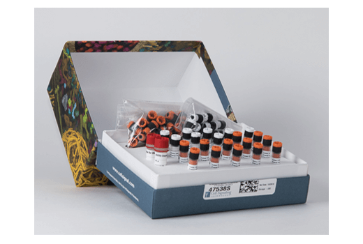 Multiplex Oligos for Illumina Systems (Dual Index Primers) (ChIP-seq, CUT&RUN): Image 1