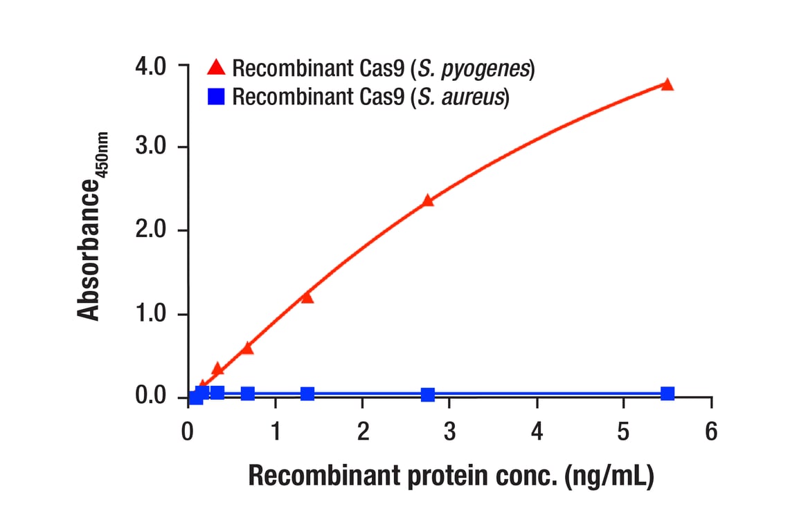 ELISA Image 1: FastScan<sup>™</sup> Cas9 (<i>S. pyogenes</i>) ELISA Kit