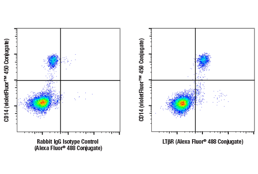 Flow Cytometry Image 1: LTβR (E5I6X) Rabbit mAb (Alexa Fluor<sup>®</sup> 488 Conjugate)