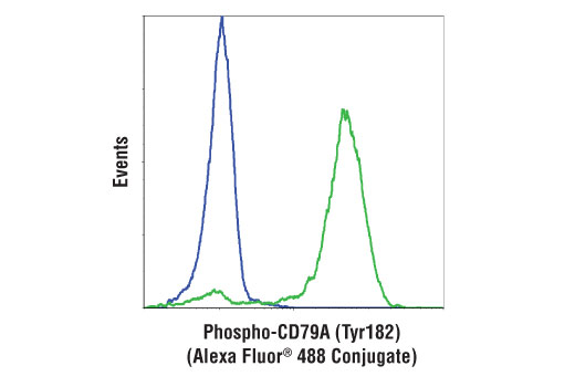 Flow Cytometry Image 1: Phospho-CD79A (Tyr182) (D1B9) Rabbit mAb (Alexa Fluor<sup>®</sup> 488 Conjugate)