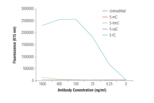 undefined Image 1: 5-Formylcytosine (5-fC) (D5D4K) Rabbit mAb