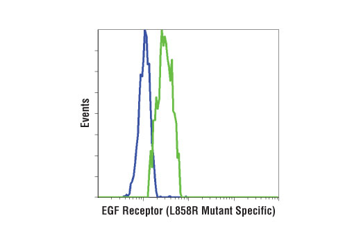 undefined Image 28: Lung Cancer RTK Antibody Sampler Kit
