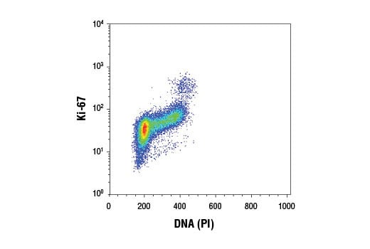 undefined Image 34: Microglia Cross Module Antibody Sampler Kit