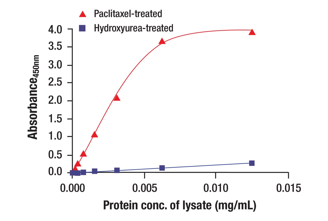 ELISA Image 2: Vimentin (D21H3) XP<sup>®</sup> Rabbit mAb (BSA and Azide Free)