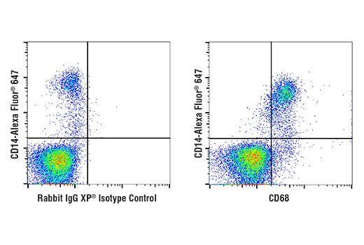 undefined Image 60: Microglia Neurodegeneration Module Antibody Sampler Kit