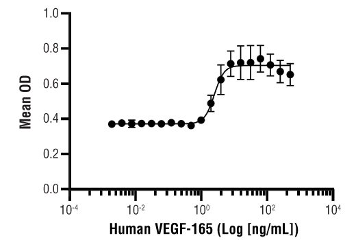 undefined Image 1: Human VEGF-165 Recombinant Protein