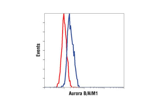 undefined Image 9: Aurora Antibody Sampler Kit